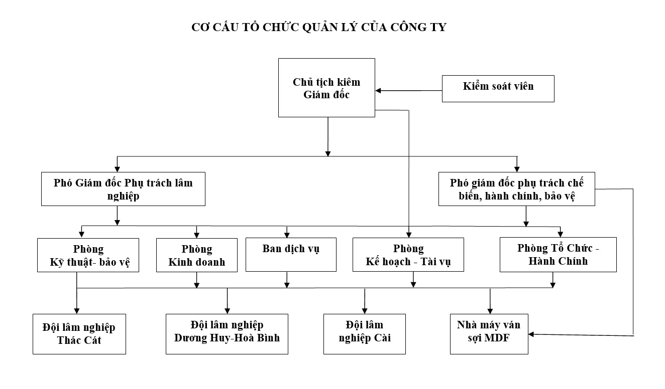 Cơ cấu tổ chức